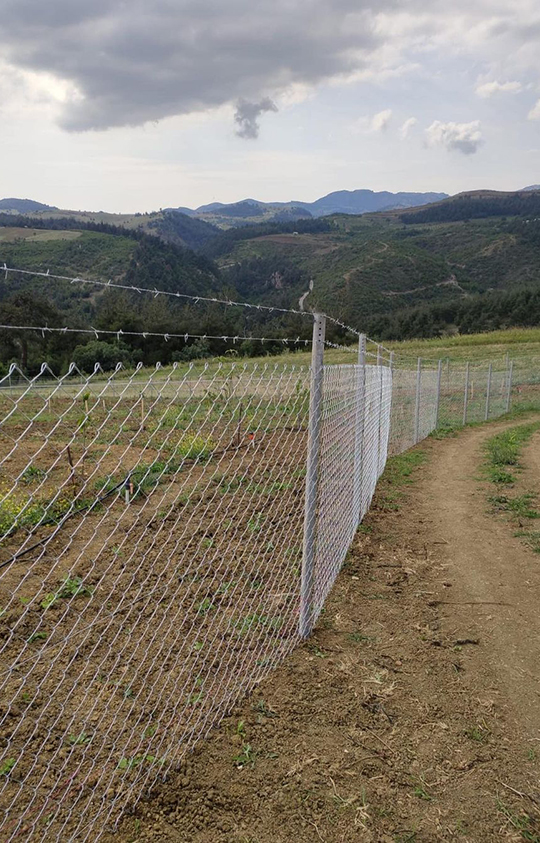 Galvaniz Borulu Kafes Tel Örgü
